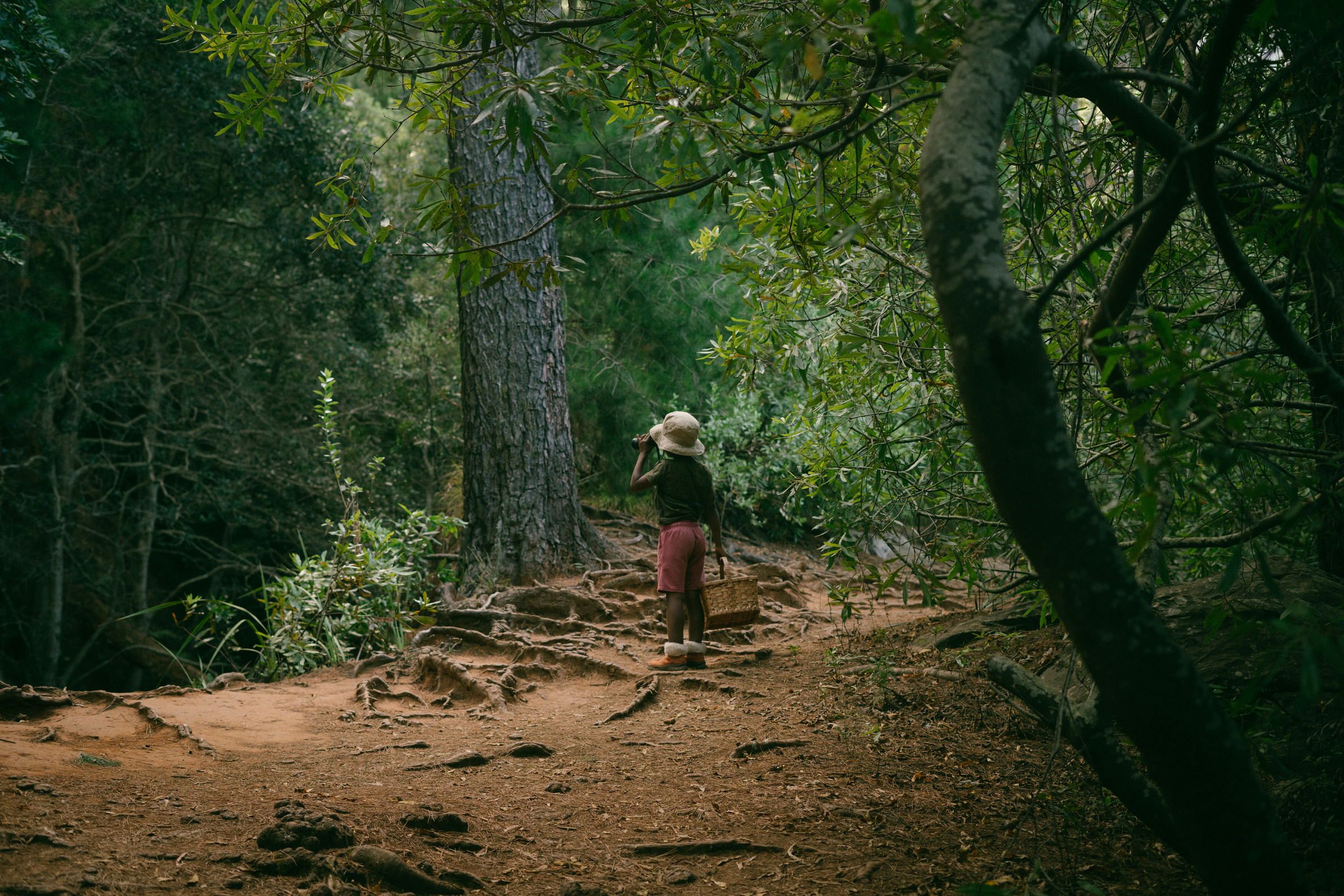 Kid with Wicker Basket Foraging in the Forest