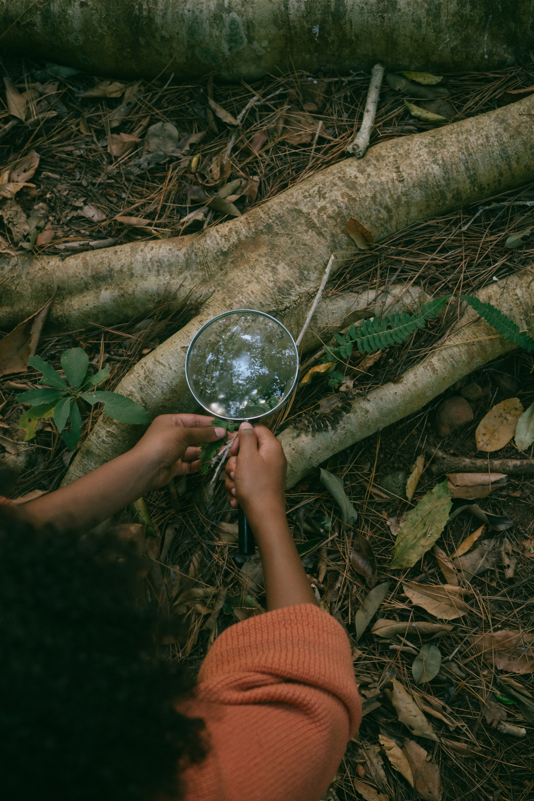 Kid with Magnifying Glass Foraging in the Forest